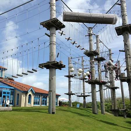 Harmonie In Der Patricia Borkum